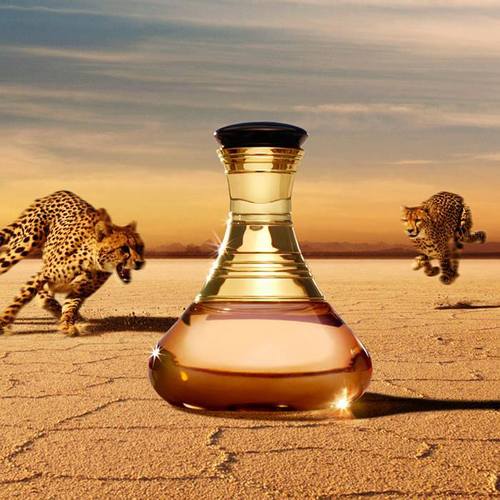 عطر ادکلن وایلد الیکسیر شکیرا - Wild Elixir Shakira - بررسی، قیمت و خرید