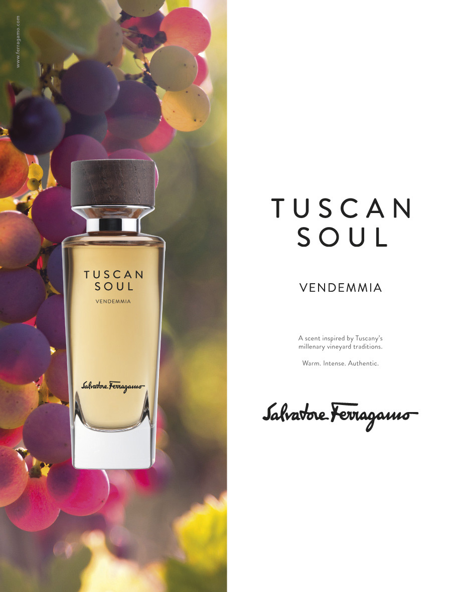 عطر ادکلن وندِمیا سالواتوره فراگامو - Vendemmia (2013) Salvatore Ferragamo - بررسی، قیمت و خرید