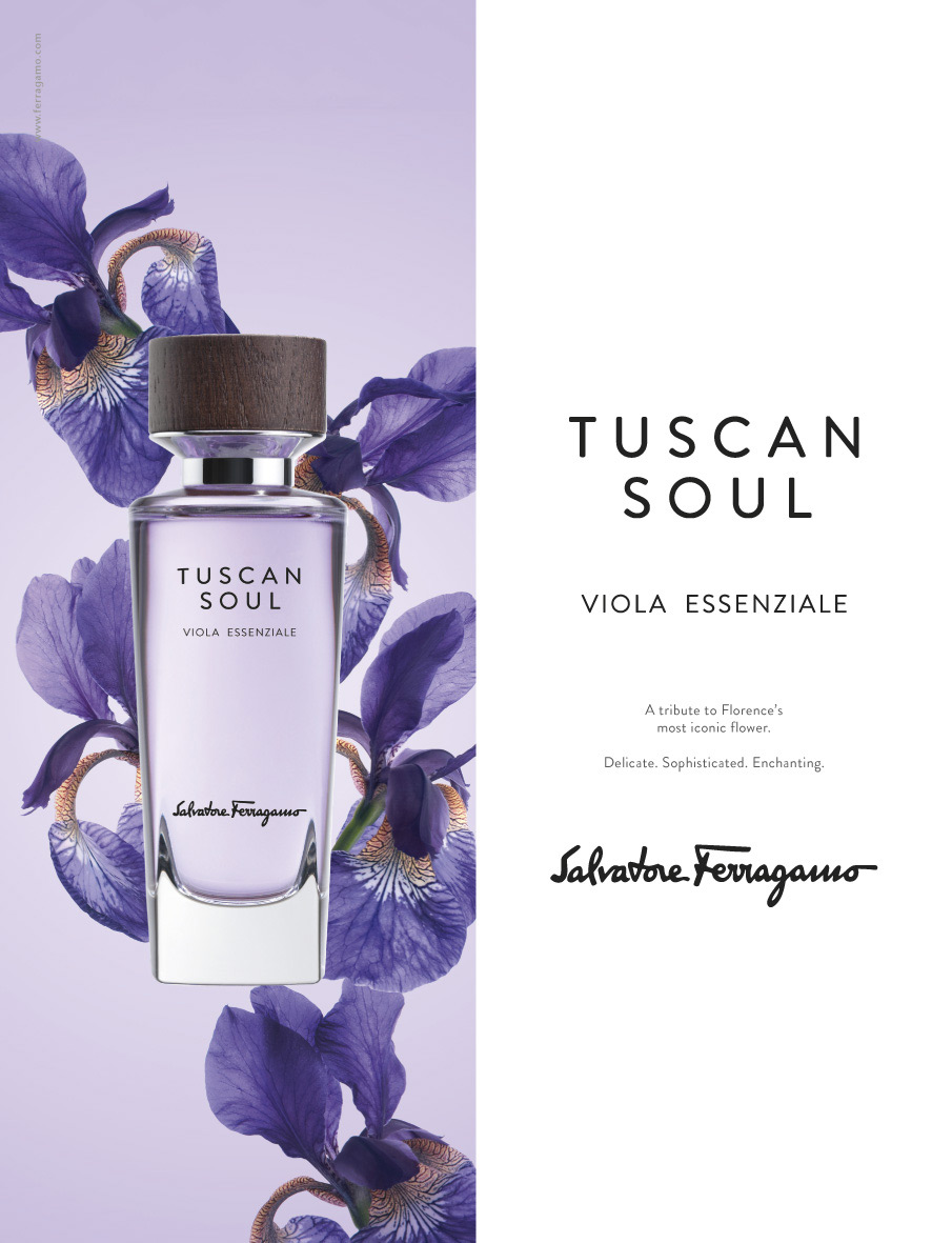 عطر ادکلن ویولا اسنسیال سالواتوره فراگامو - Viola Essenziale (2013) Salvatore Ferragamo - بررسی، قیمت و خرید