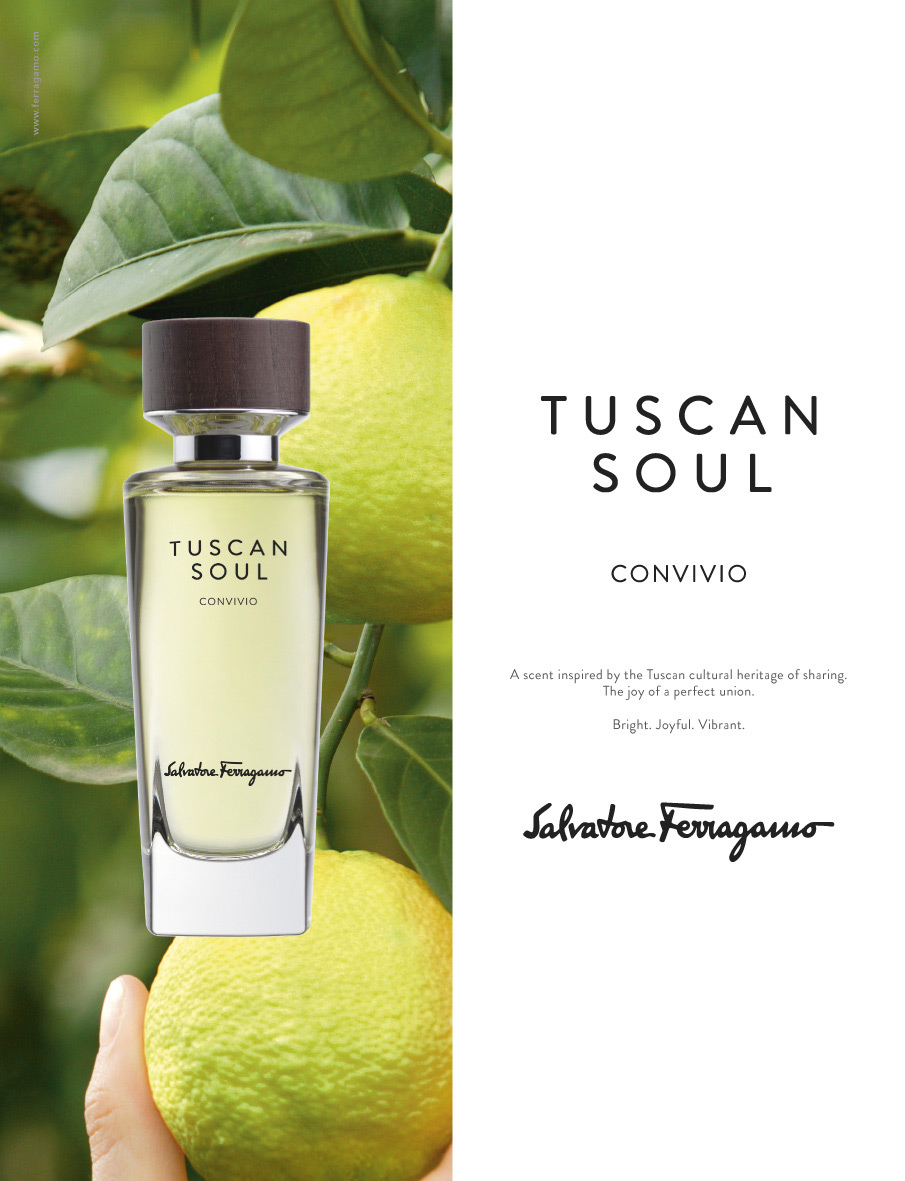 عطر ادکلن کنویویو سالواتوره فراگامو - Convivio (2013) Salvatore Ferragamo - بررسی، قیمت و خرید