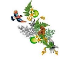 عطر ادکلن سیدر وودز وودز آو ویندزور - Cedar Woods Woods of Windsor - بررسی، قیمت و خرید