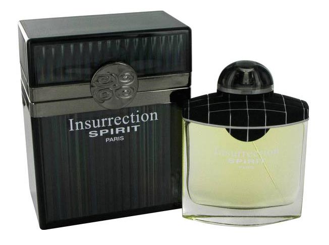عطر ادکلن اینسرکشن اسپیریت ریان تردیشن - Insurrection Spirit Reyane Tradition - بررسی، قیمت و خرید