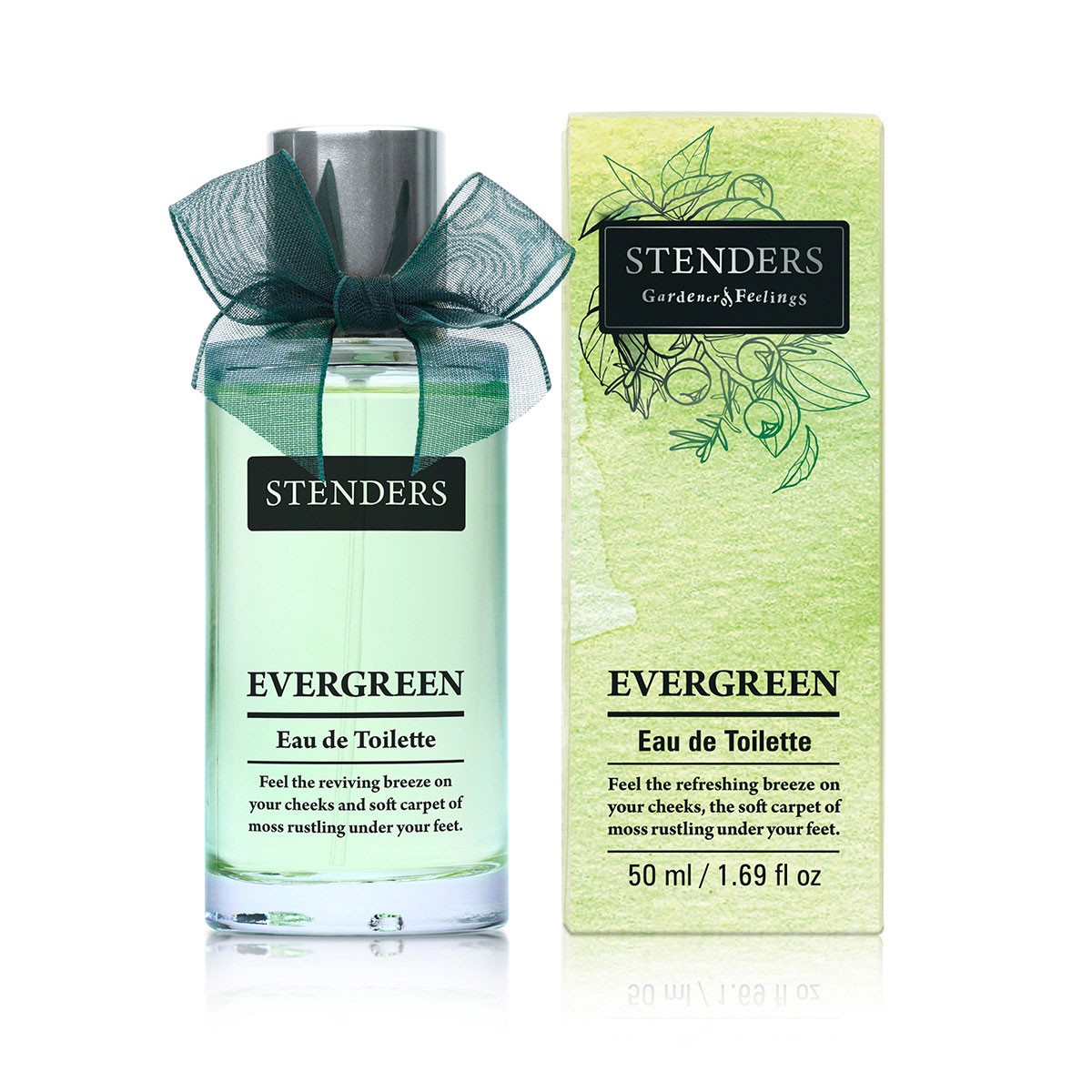 عطر ادکلن اِوِرگِرین استندرز - Evergreen Stenders - بررسی، قیمت و خرید