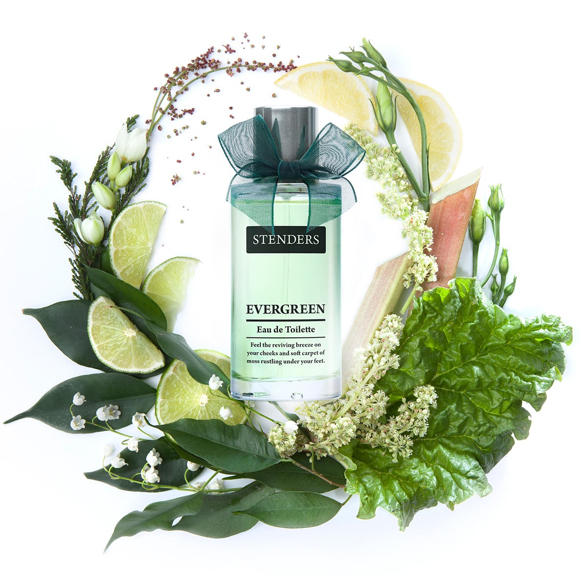 عطر ادکلن اِوِرگِرین استندرز - Evergreen Stenders - بررسی، قیمت و خرید