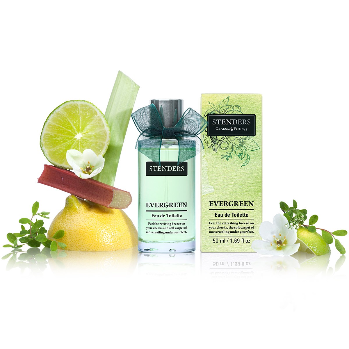 عطر ادکلن اِوِرگِرین استندرز - Evergreen Stenders - بررسی، قیمت و خرید