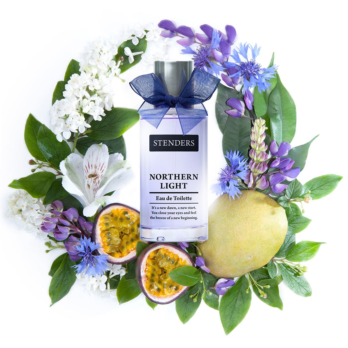 عطر ادکلن نوردرن لایت استندرز - Northern Light Stenders - بررسی، قیمت و خرید