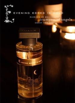 عطر ادکلن ایونینگ اِجد اِن گُلد آینکه - Evening Edged In Gold Ineke - بررسی، قیمت و خرید
