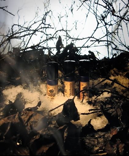 عطر ادکلن شدوز این ده نایت 솔스티스 센트스 - Shadows in the Night Solstice Scents - بررسی، قیمت و خرید