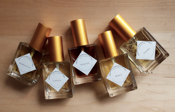 عطر ادکلن توشی رادیواکتیو ماشرومز این د فورست - Toshi Radioactive Mushrooms in the Forest - بررسی، قیمت و خرید