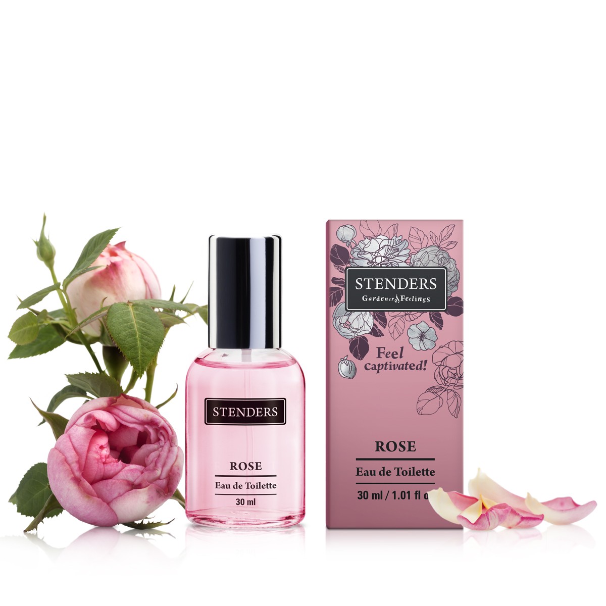عطر ادکلن roz اِستِندِرز - Rose Stenders - بررسی، قیمت و خرید