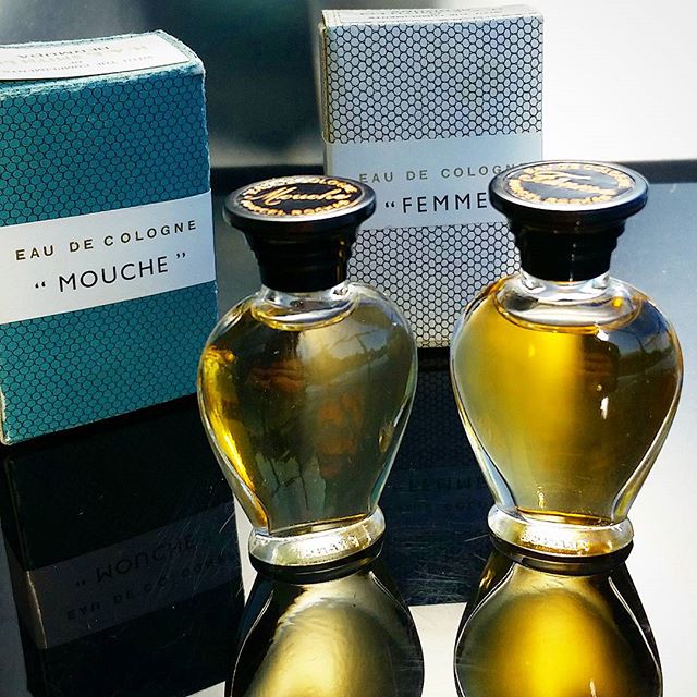 عطر ادکلن موش روچاس - Mouche Rochas - بررسی، قیمت و خرید