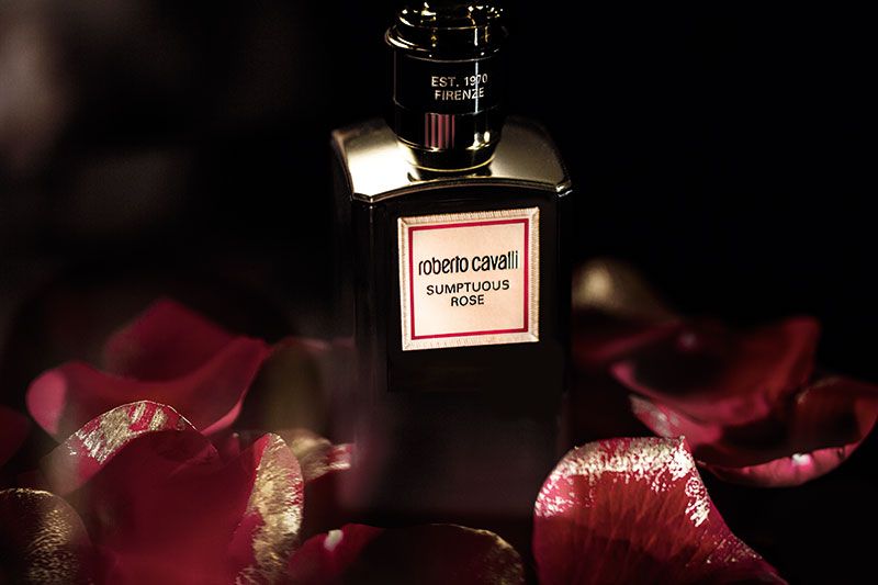عطر ادکلن سامپچوئس رز روبرتو کاوالی - Sumptuous Rose Roberto Cavalli - بررسی، قیمت و خرید