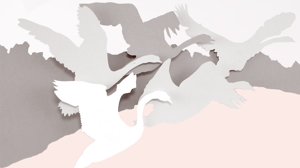 عطر ادکلن له باله بلانک ریپتو - Le Ballet Blanc Repetto - بررسی، قیمت و خرید