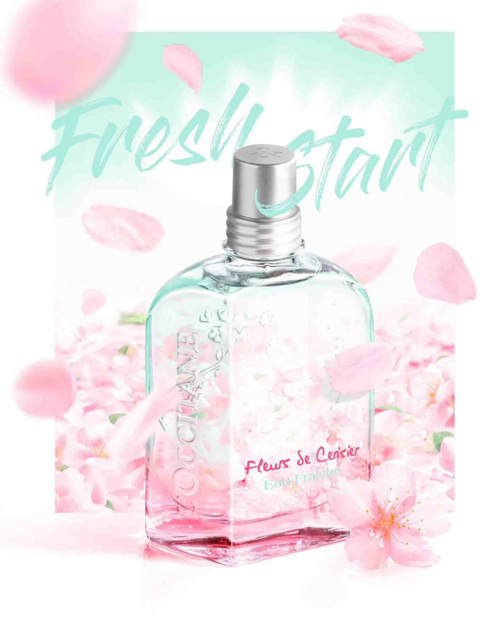 عطر ادکلن فلور دو سریزیه او فرش لوکسی‌تان - Fleurs de Cerisier Eau Fraîche L'Occitane en Provence - بررسی، قیمت و خرید