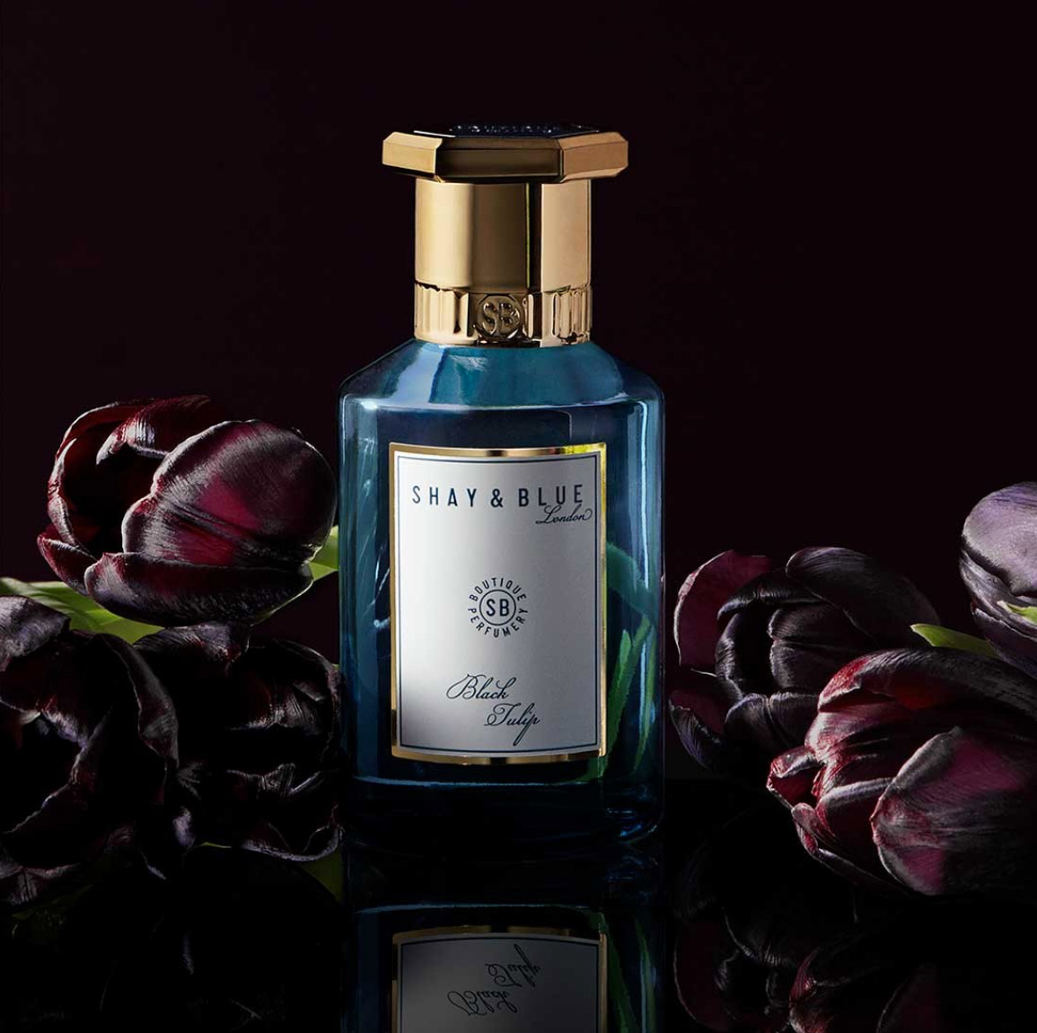 عطر ادکلن بلک تیولِپ شِی اَند بلو لاندِن - Black Tulip Shay & Blue London - بررسی، قیمت و خرید