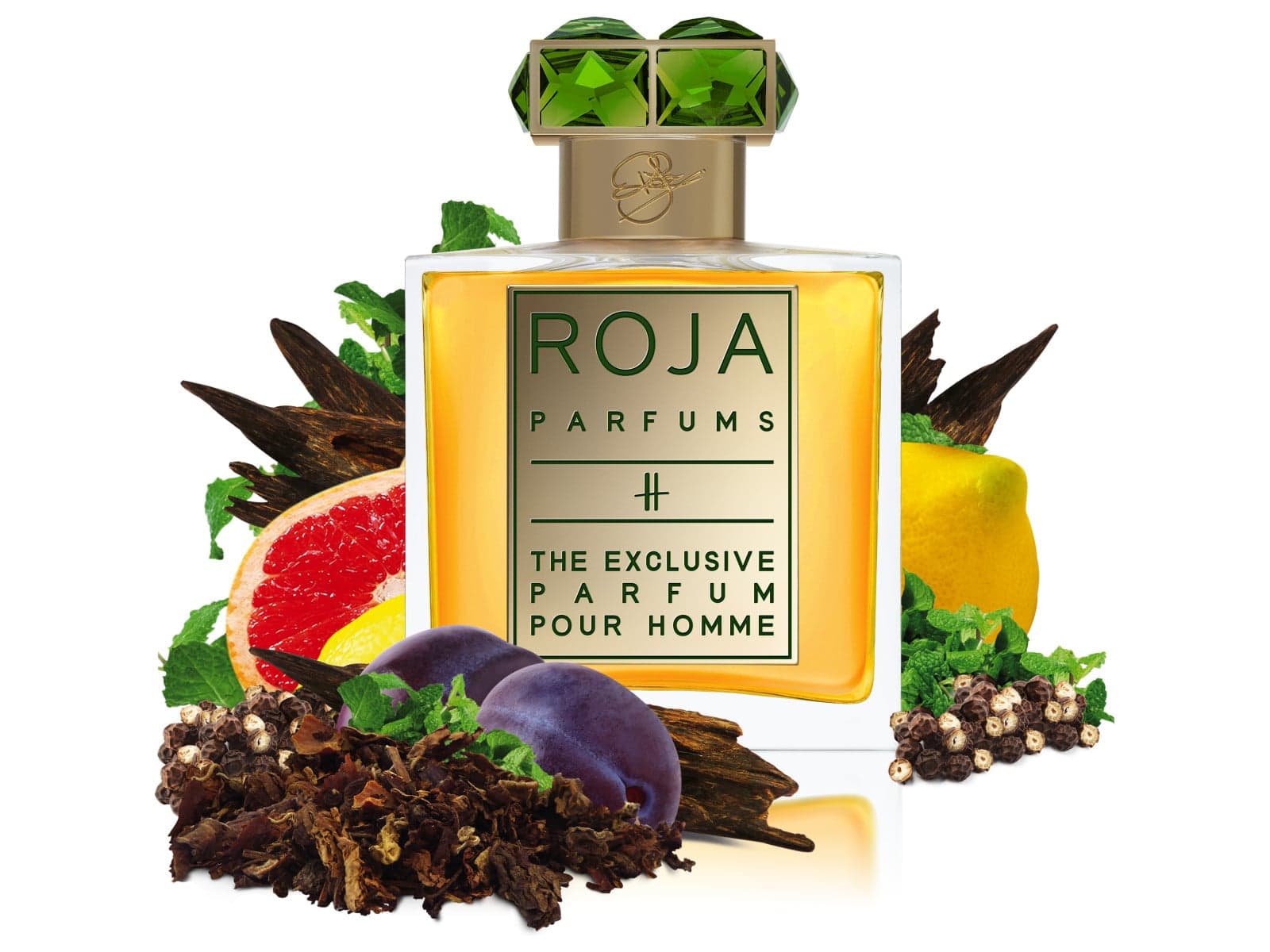 عطر ادکلن اِچ دِ اکسکلوسیو پارفام پور اُم روجا داو - H The Exclusive Parfum Pour Homme Roja Dove - بررسی، قیمت و خرید
