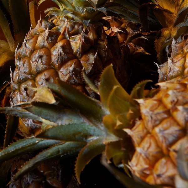 عطر ادکلن کینگز وود شای اند بلو لندن - Kings Wood Shay & Blue London - بررسی، قیمت و خرید