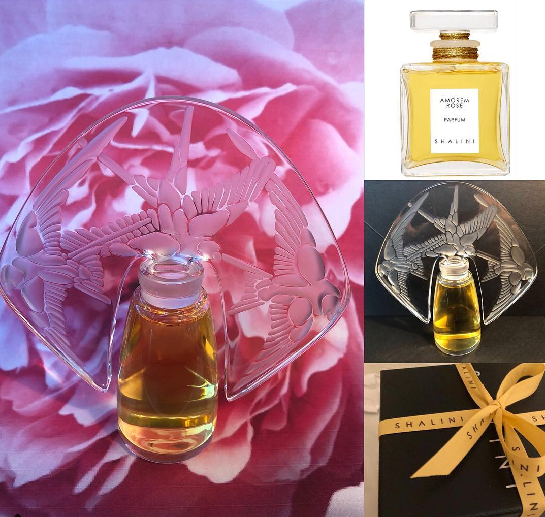 عطر ادکلن - Amorem Rose Shalini - بررسی، قیمت و خرید
