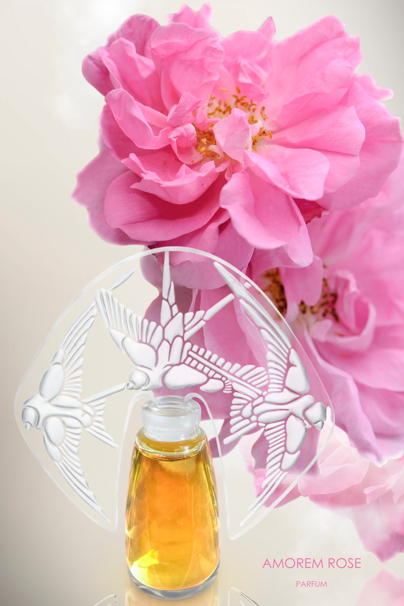 عطر ادکلن - Amorem Rose Shalini - بررسی، قیمت و خرید