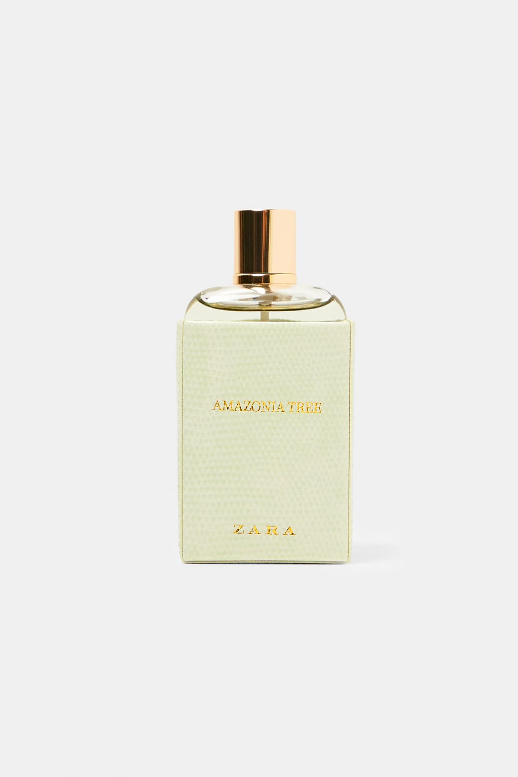 عطر ادکلن آمازونیا تری زارا - Amazonia Tree Zara - بررسی، قیمت و خرید