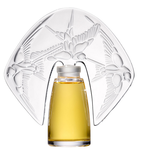 عطر ادکلن - Amorem Rose Shalini - بررسی، قیمت و خرید