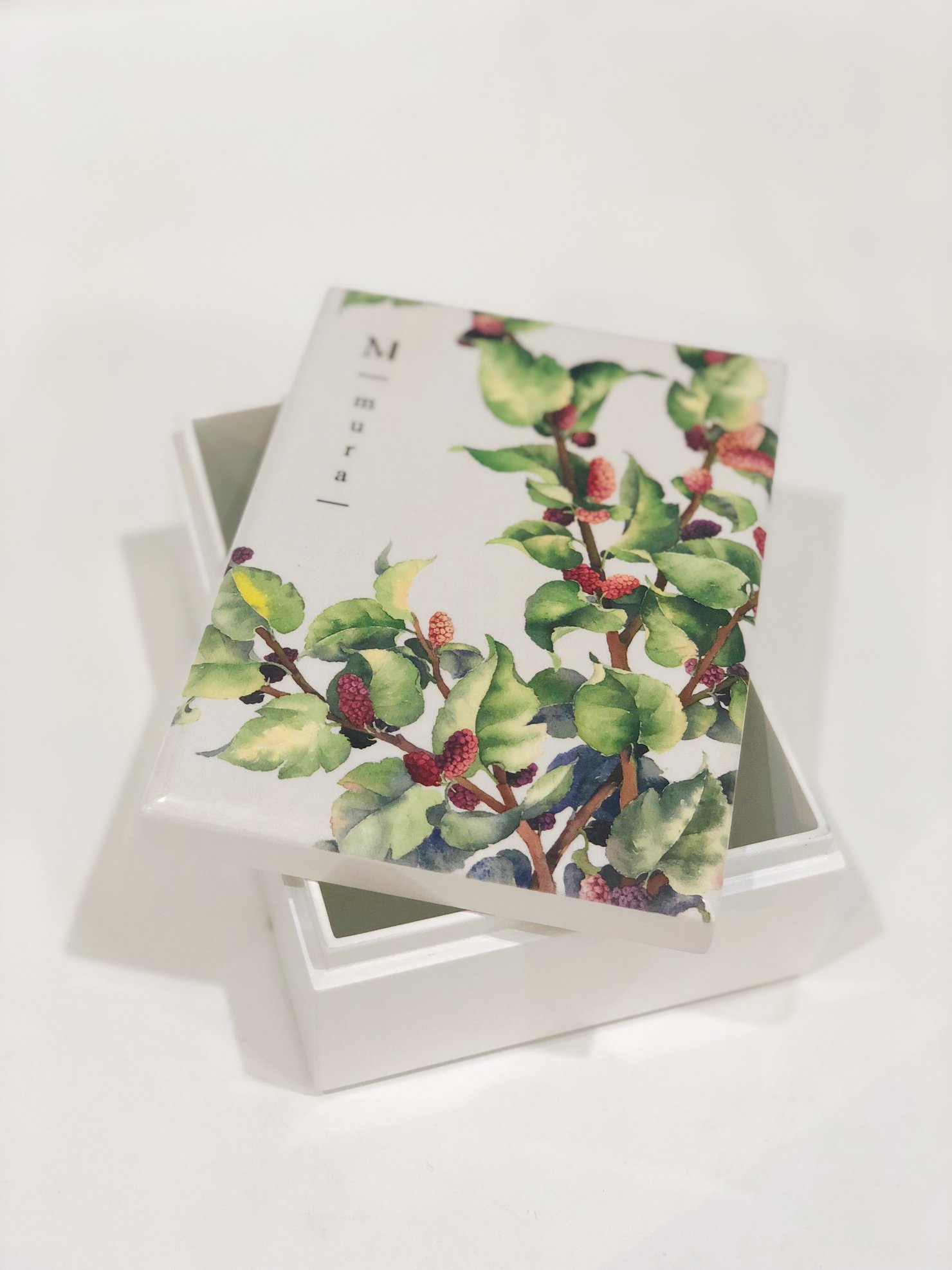 عطر ادکلن مورا متا سنت - Mura MetaScent - بررسی، قیمت و خرید