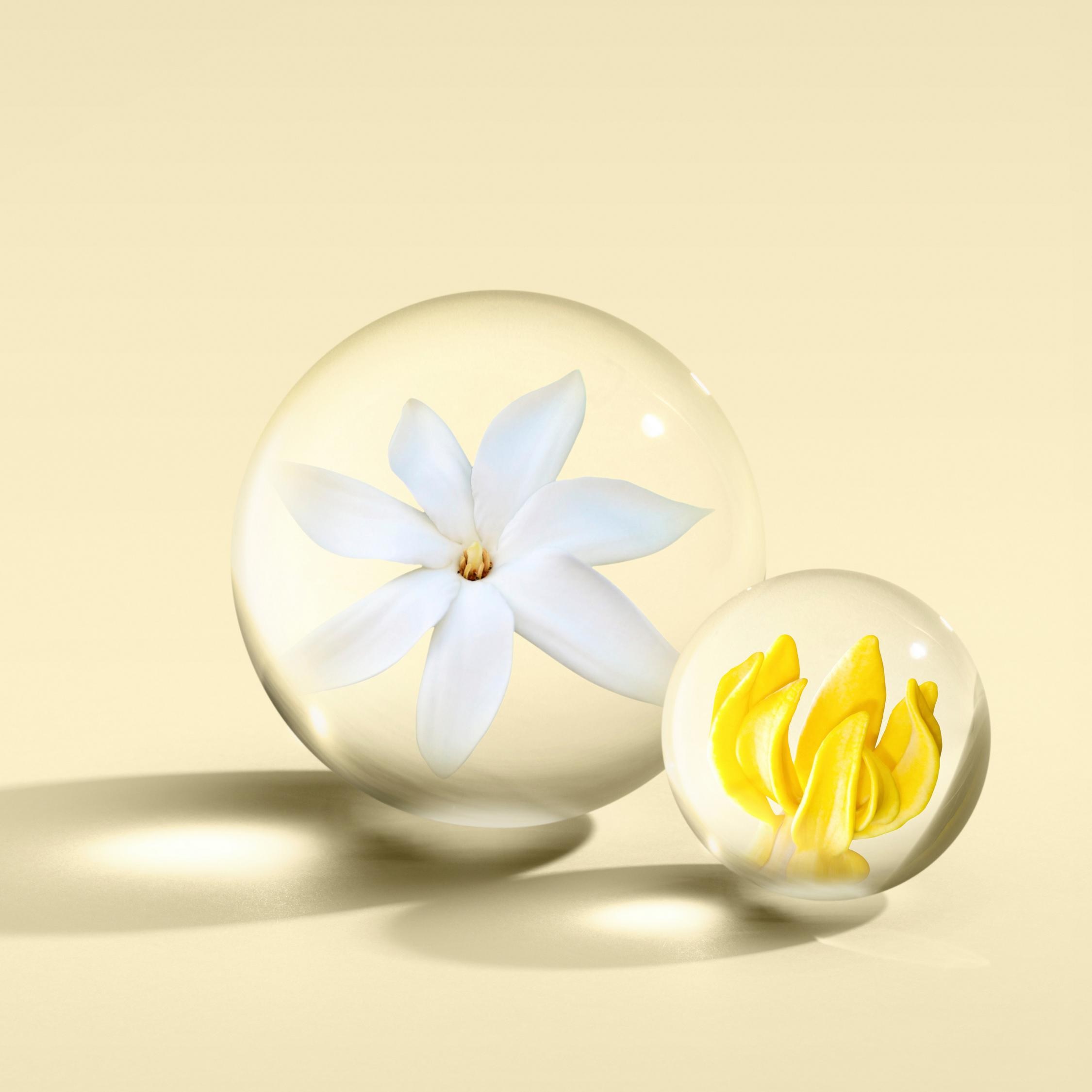 عطر ادکلن فلورا لومینر او د پارفوم مولتون براون - Flora Luminare Eau de Parfum Molton Brown - بررسی، قیمت و خرید