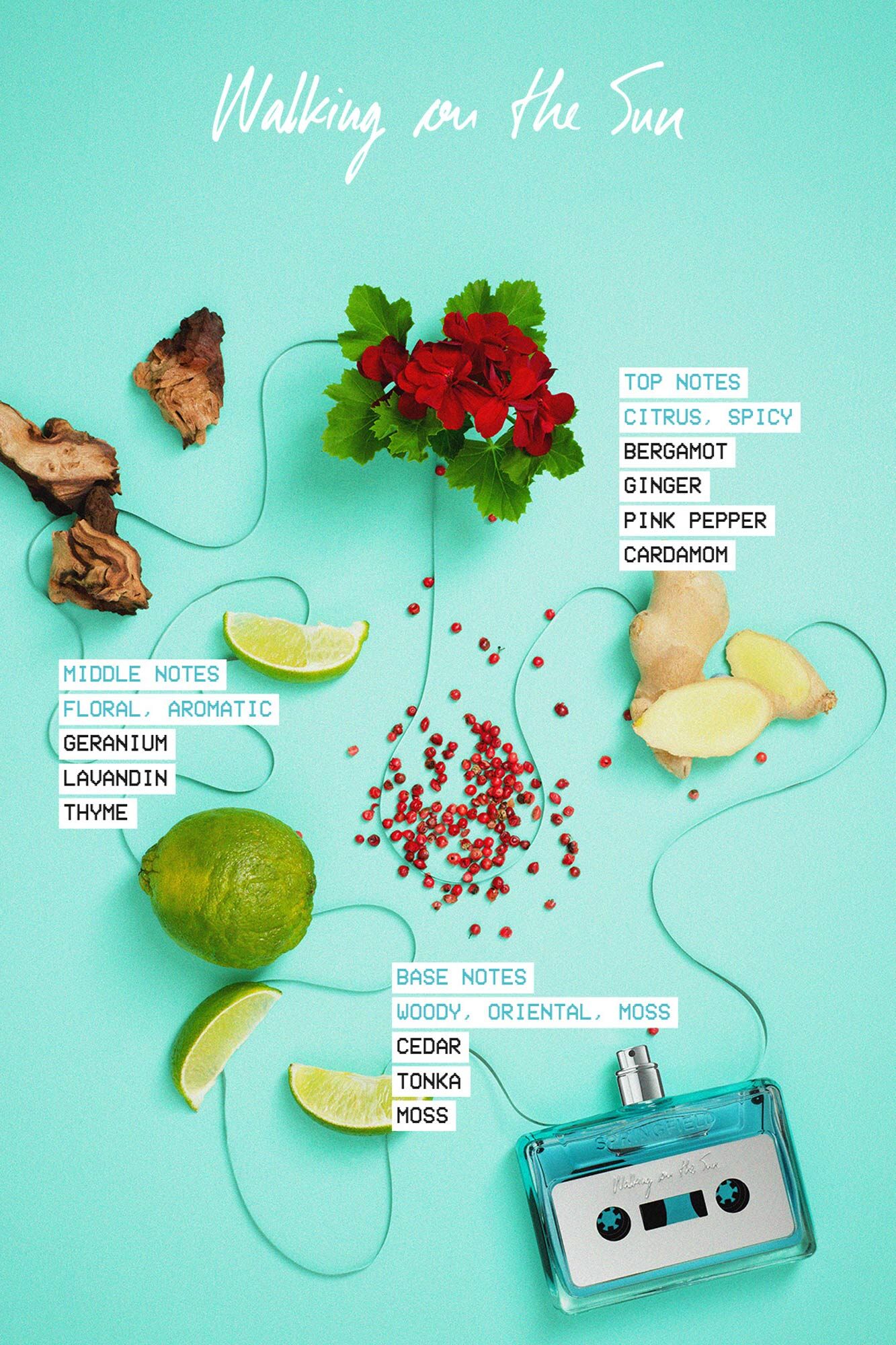 عطر ادکلن ریوایند: واکینگ آن دِ سان اسپرینگفیلد - Rewind: Walking On The Sun Springfield - بررسی، قیمت و خرید