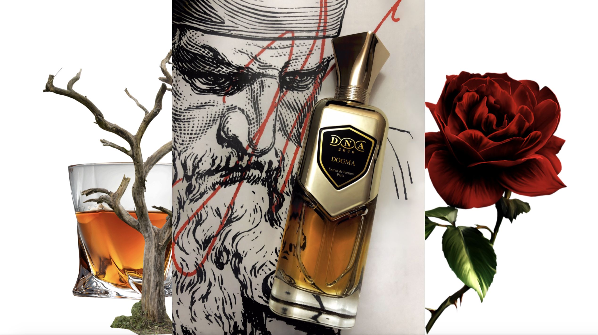 عطر ادکلن داگما سر پرفیومر دی‌ان‌ای دو هزار و سی - Dogma Sir Parfumer DNA 2030 - بررسی، قیمت و خرید