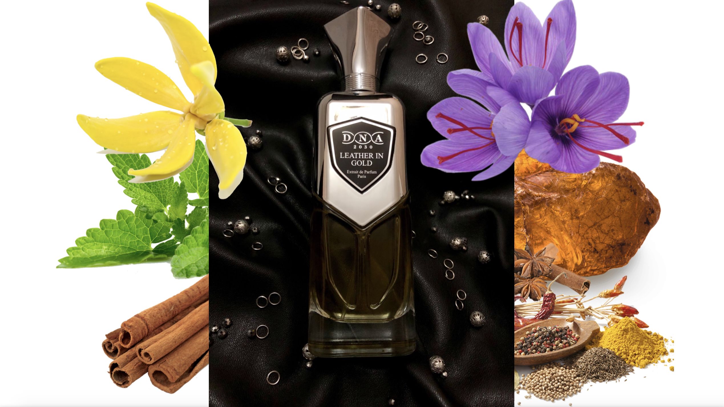 عطر ادکلن لدِر این گُلد سر پرفیومر دی ان ای ۲۰۳۰ - Leather in Gold Sir Parfumer DNA 2030 - بررسی، قیمت و خرید