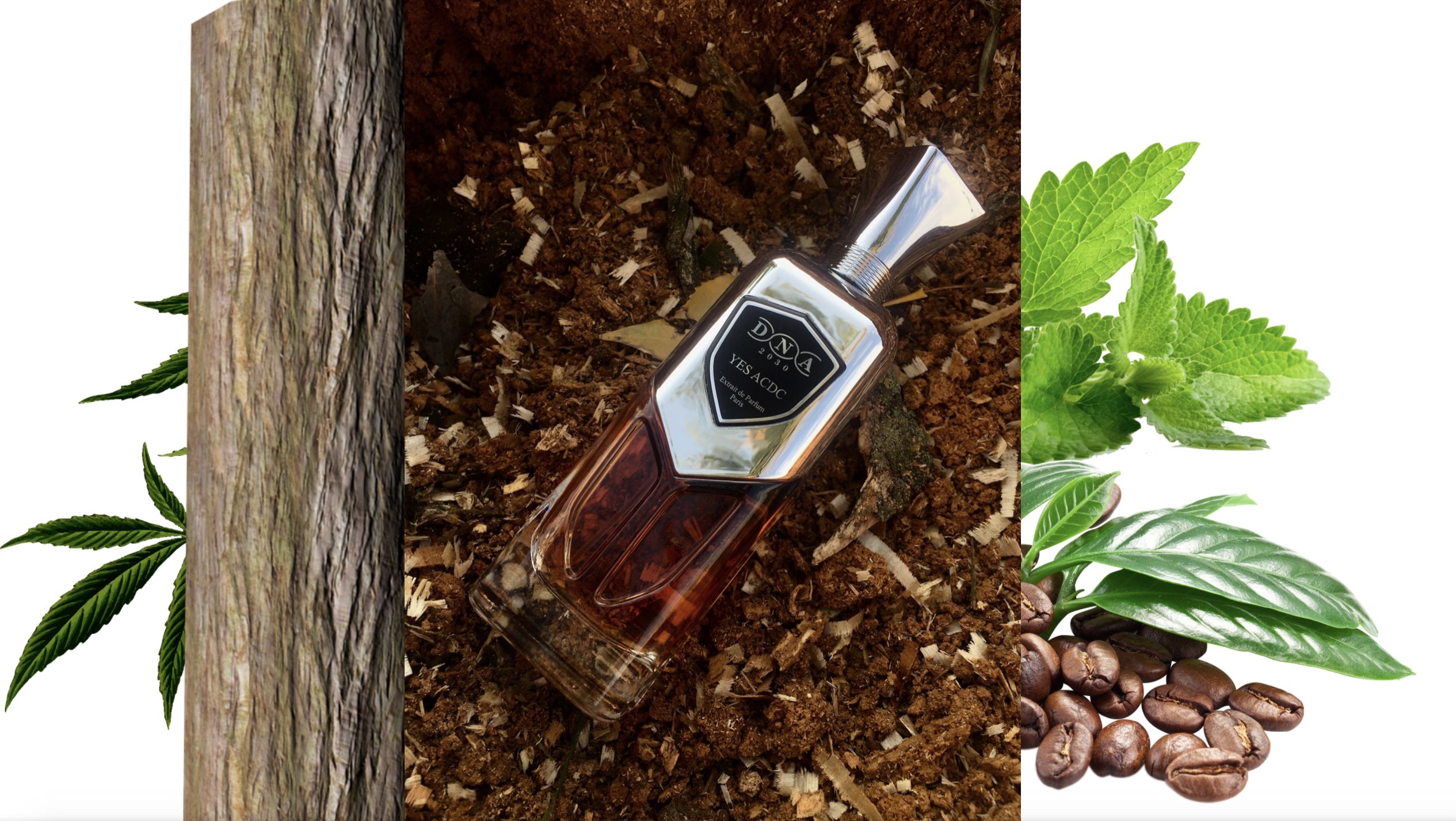 عطر ادکلن یس ای سی دی سی سِر پَرفیومِر دی‌اِن‌اِی دوهزاروسی - Yes ACDC (A Country Do Cinema) Sir Parfumer DNA 2030 - بررسی، قیمت و خرید