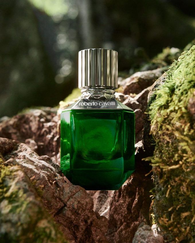 عطر ادکلن پَرِدایس فایند فور مَن روبرتو کاوالی - Paradise Found For Men Roberto Cavalli - بررسی، قیمت و خرید