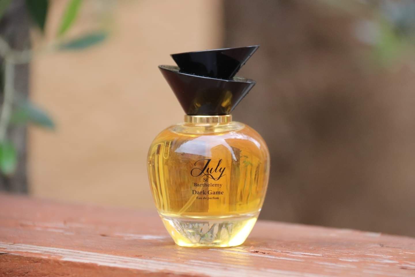 عطر ادکلن دارک گیم جولای سنت بارتلمی - Dark Game July St Barthelemy - بررسی، قیمت و خرید