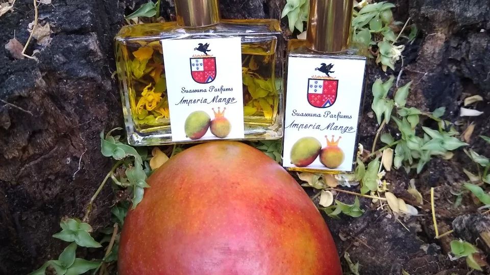 عطر ادکلن ایمپریا منگو سوآسونا پرفیومز - Imperia Mango Suassuna Parfums - بررسی، قیمت و خرید