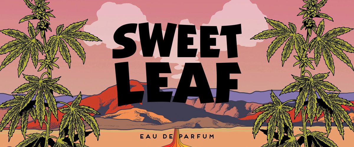 عطر ادکلن سویت لیف روم صد و پانزده - Sweet Leaf Room 1015 - بررسی، قیمت و خرید