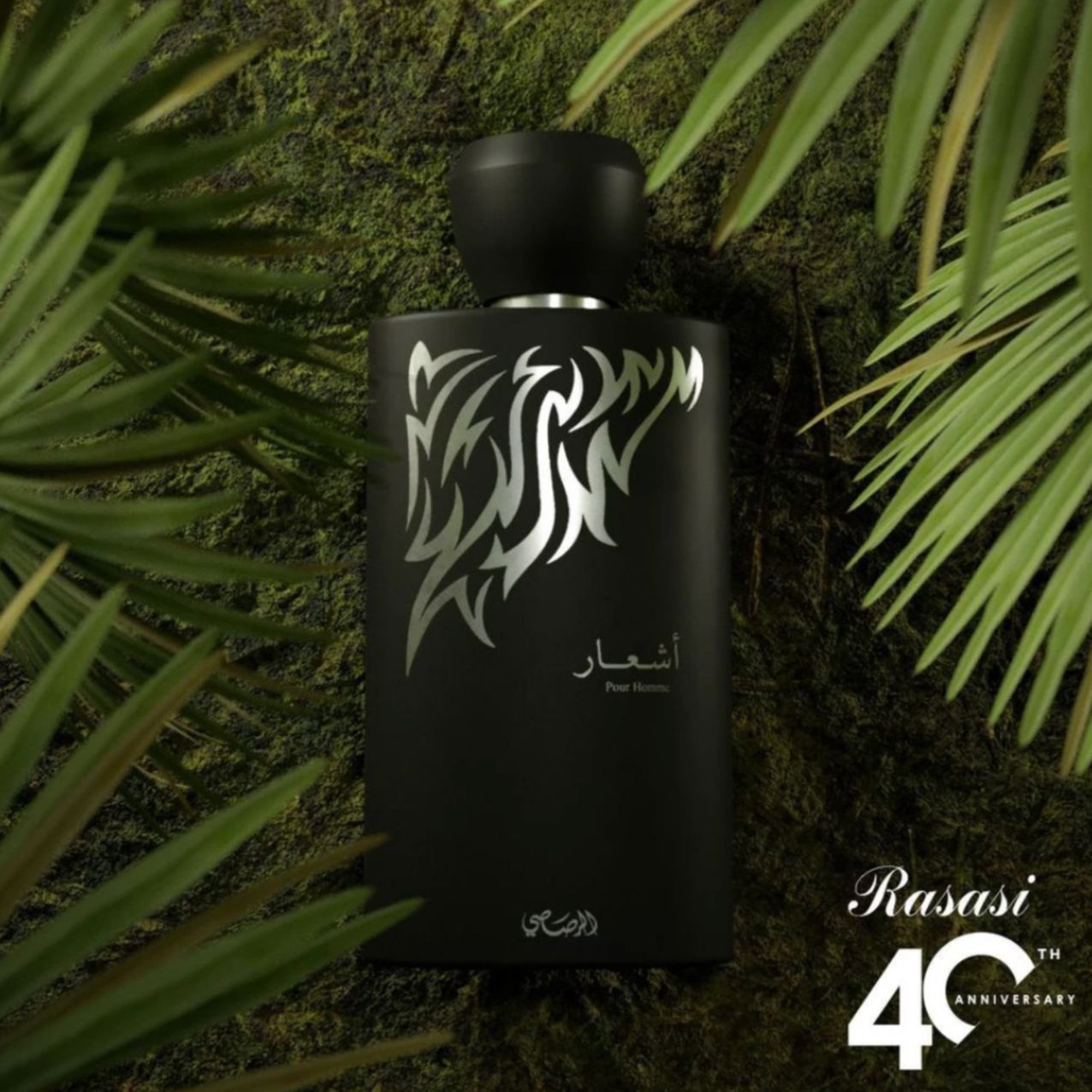 عطر ادکلن اشار پور هوم راساسی - Ashaar Pour Homme Rasasi - بررسی، قیمت و خرید