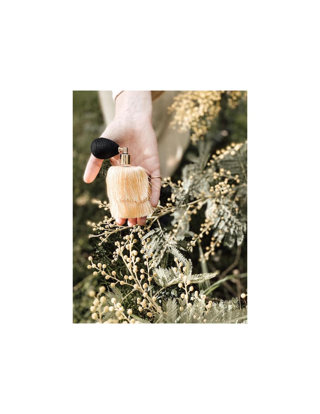 عطر ادکلن باشی فِرام اَوِی توناتّو پروفومی - Baci from far away Tonatto Profumi - بررسی، قیمت و خرید