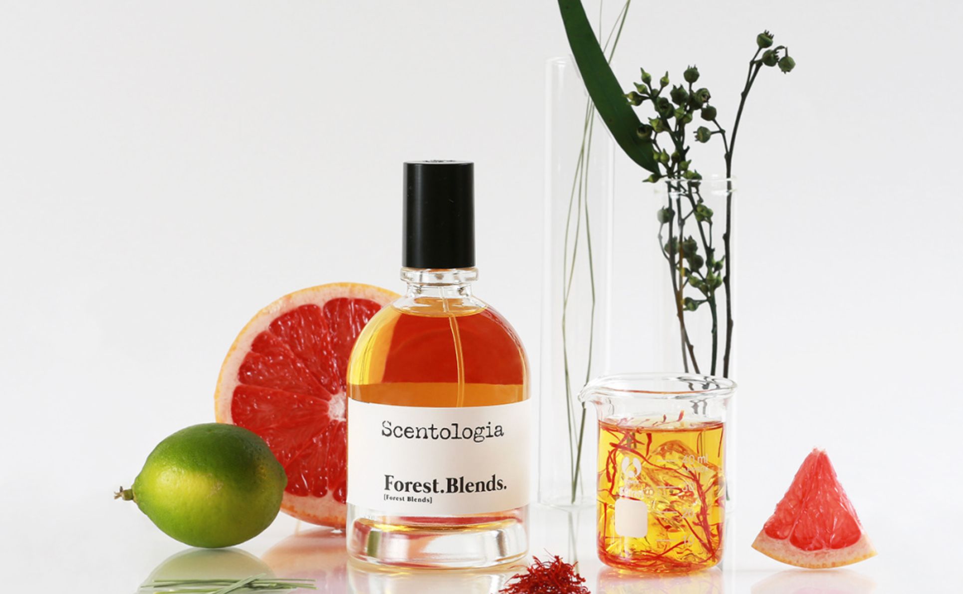 عطر ادکلن فورست بلندز سِنتولوژی - Forest.Blends. Scentologia - بررسی، قیمت و خرید