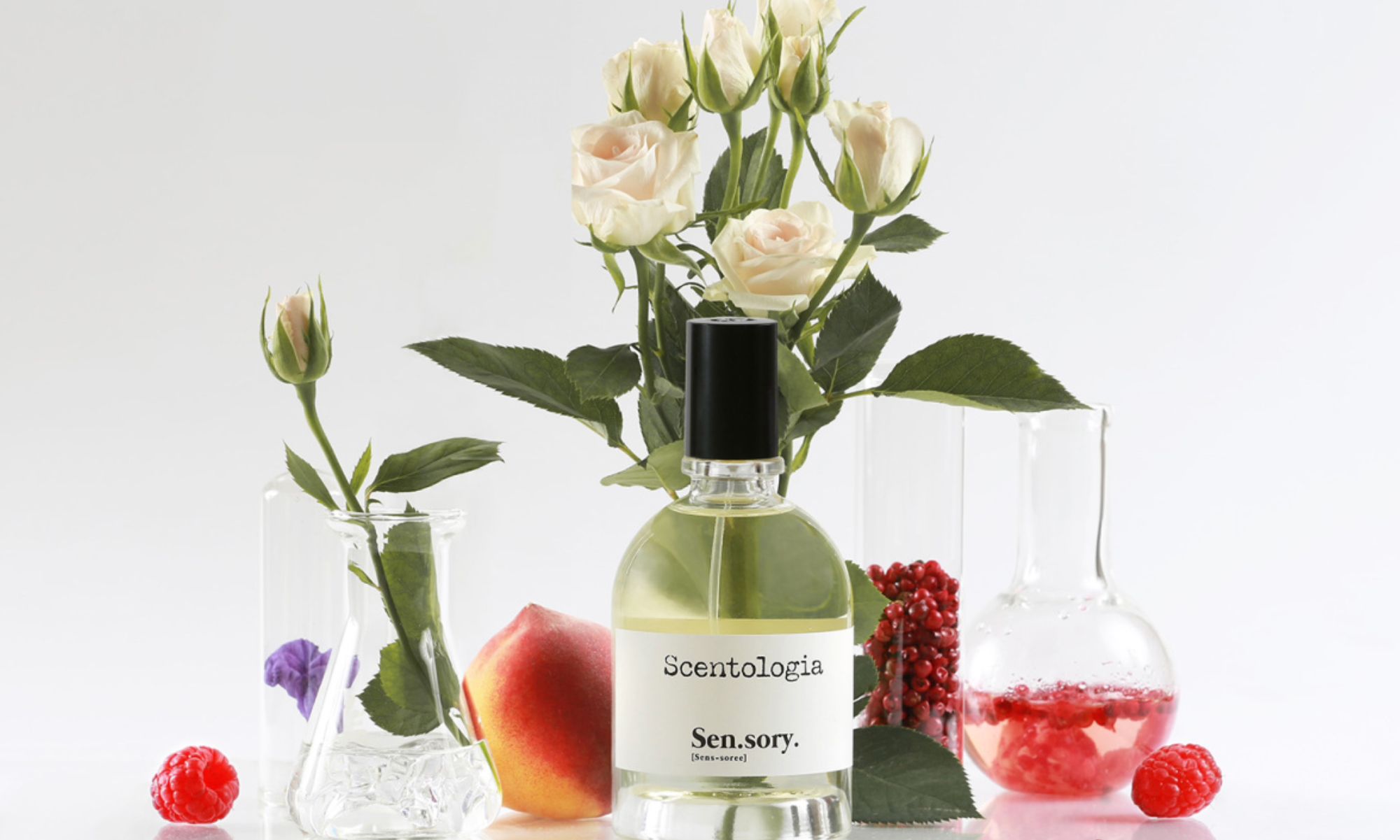 عطر ادکلن سن‌سوری ساینتولوژیا - Sen.sory. Scentologia - بررسی، قیمت و خرید