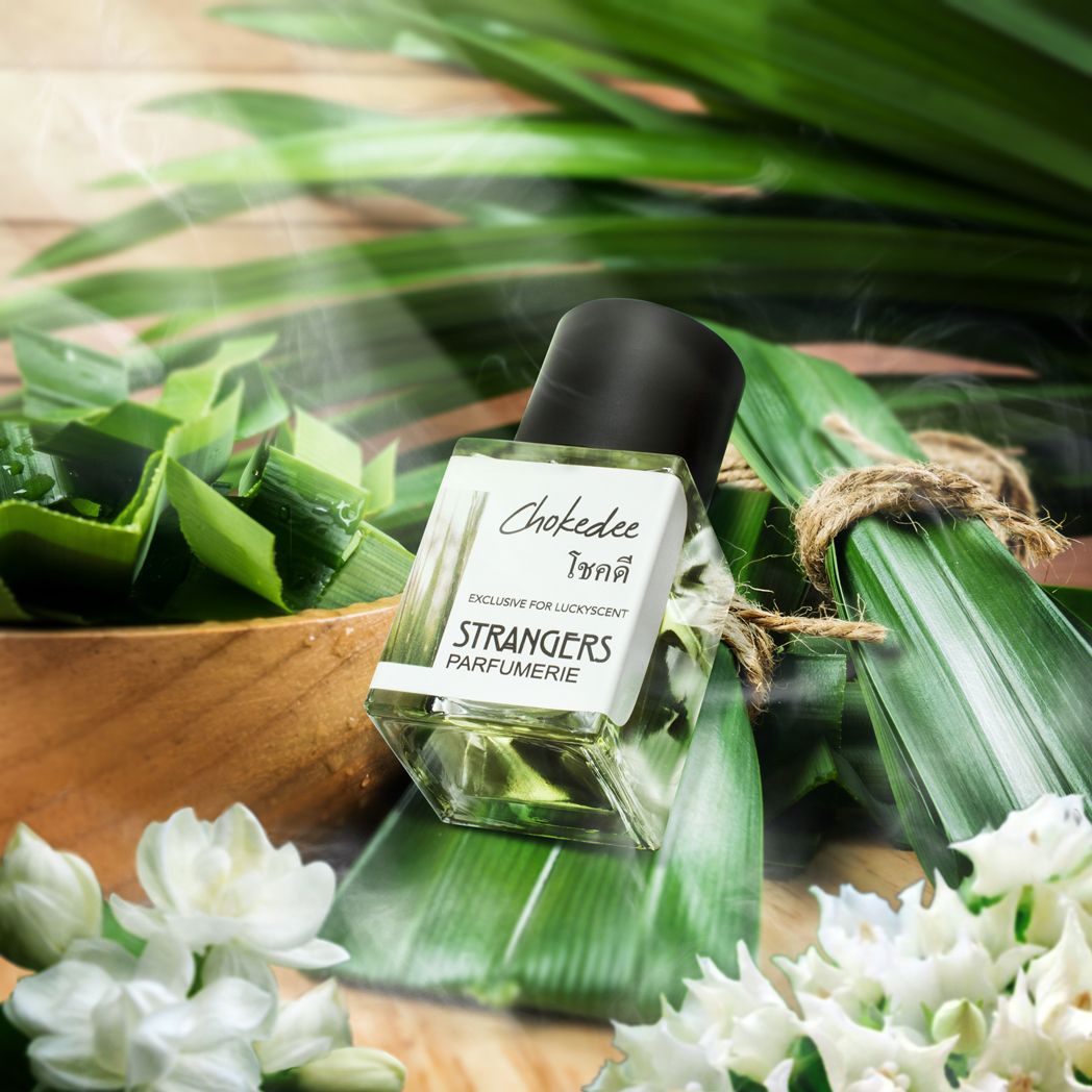 عطر ادکلن چوک دی استرنجرز پرفیومری - Chokedee (โชคดี) Strangers Parfumerie - بررسی، قیمت و خرید