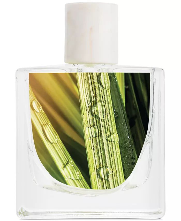 عطر ادکلن سان شاور او دو پرفیوم اسکایلر - Sun Shower Eau de Parfum Skylar - بررسی، قیمت و خرید