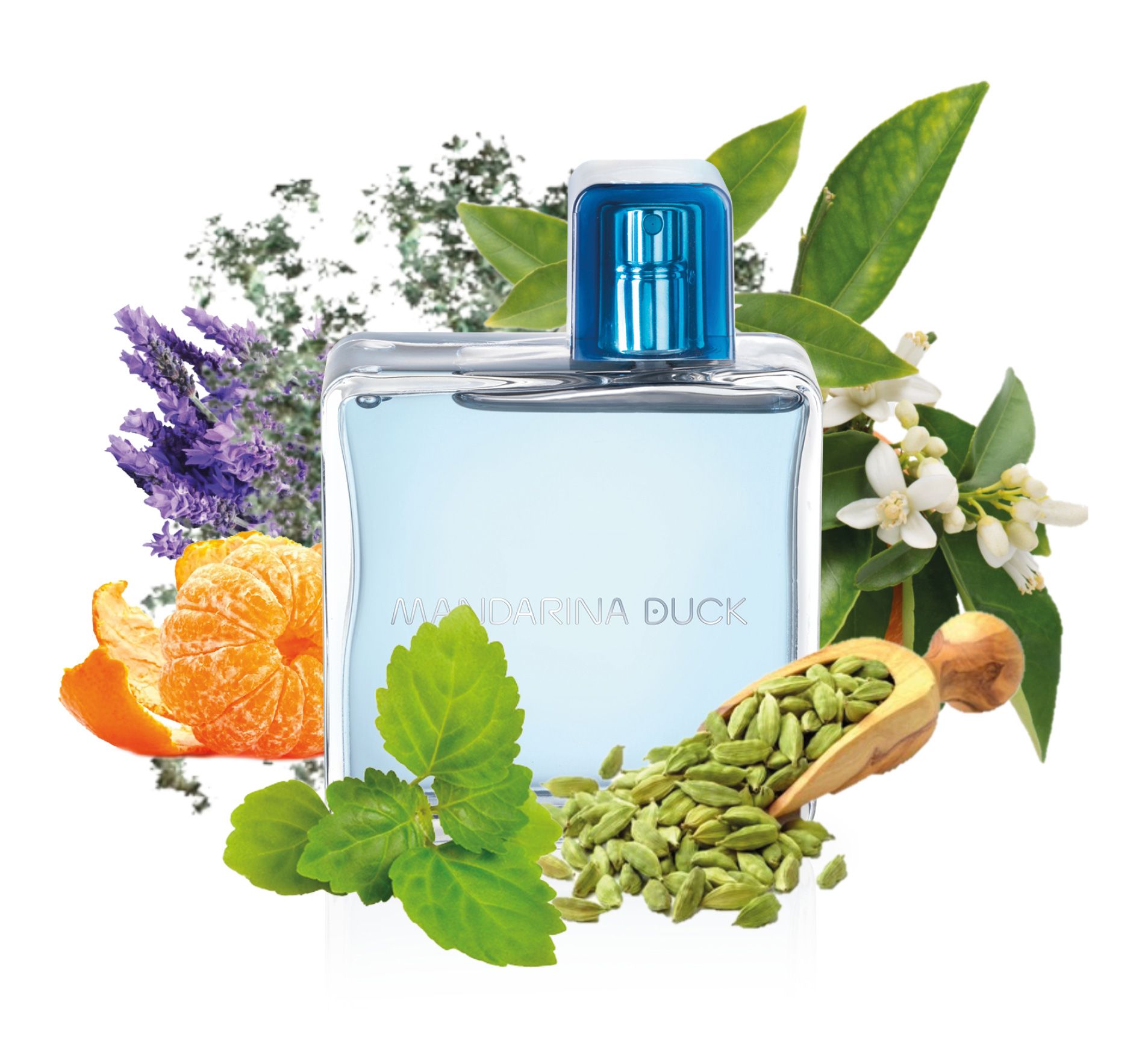 عطر ادکلن فور هیم ماندارین داک - For Him Mandarina Duck - بررسی، قیمت و خرید