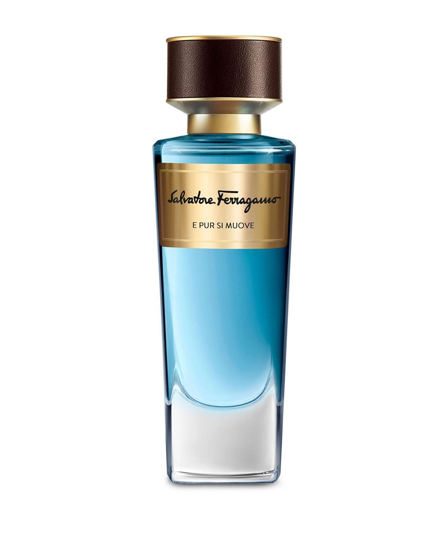 عطر ادکلن ای پور سی مووه سالواتوره فراگامو - E Pur Si Muove Salvatore Ferragamo - بررسی، قیمت و خرید