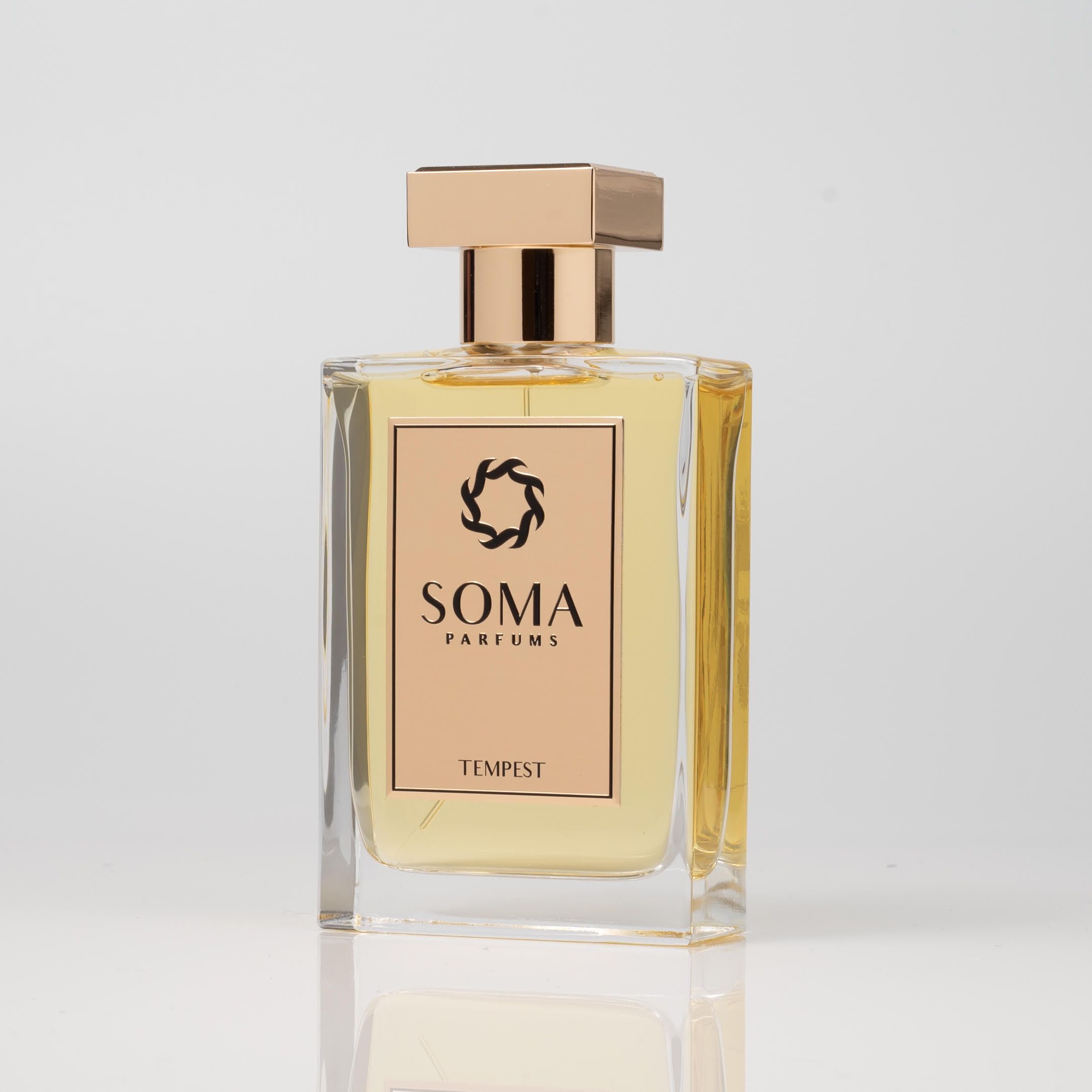 عطر ادکلن تمپست سوما پرفیومز - Tempest Soma Parfums - بررسی، قیمت و خرید