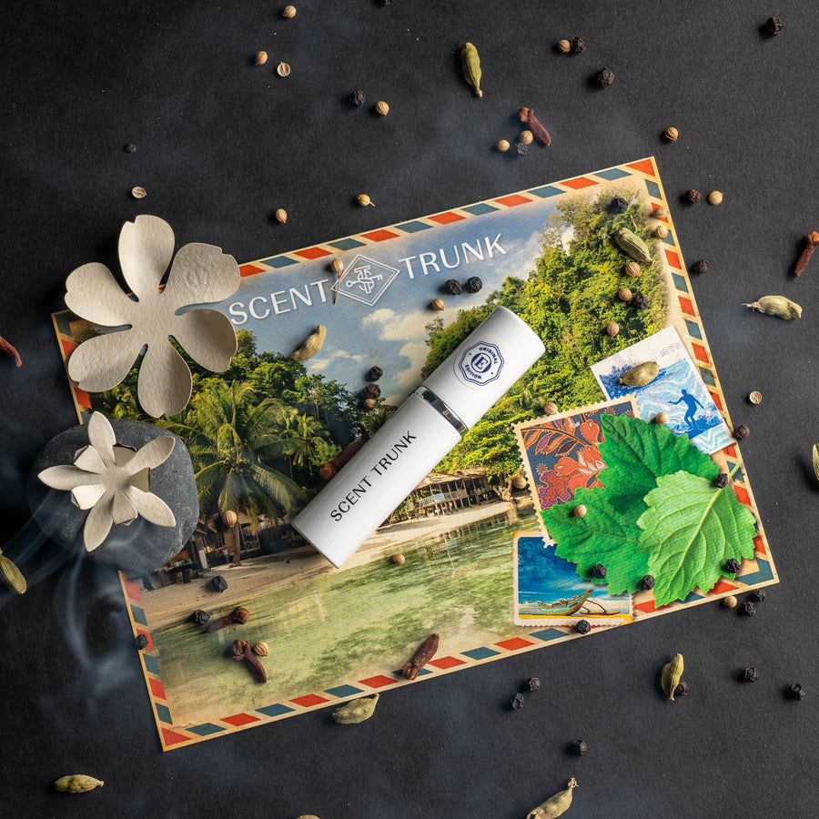 عطر ادکلن پاچولی سنت ترانک - Patchouli Scent Trunk - بررسی، قیمت و خرید