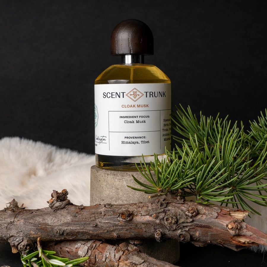 عطر ادکلن کلوک ماسک سنت ترانک - Cloak Musk Scent Trunk - بررسی، قیمت و خرید