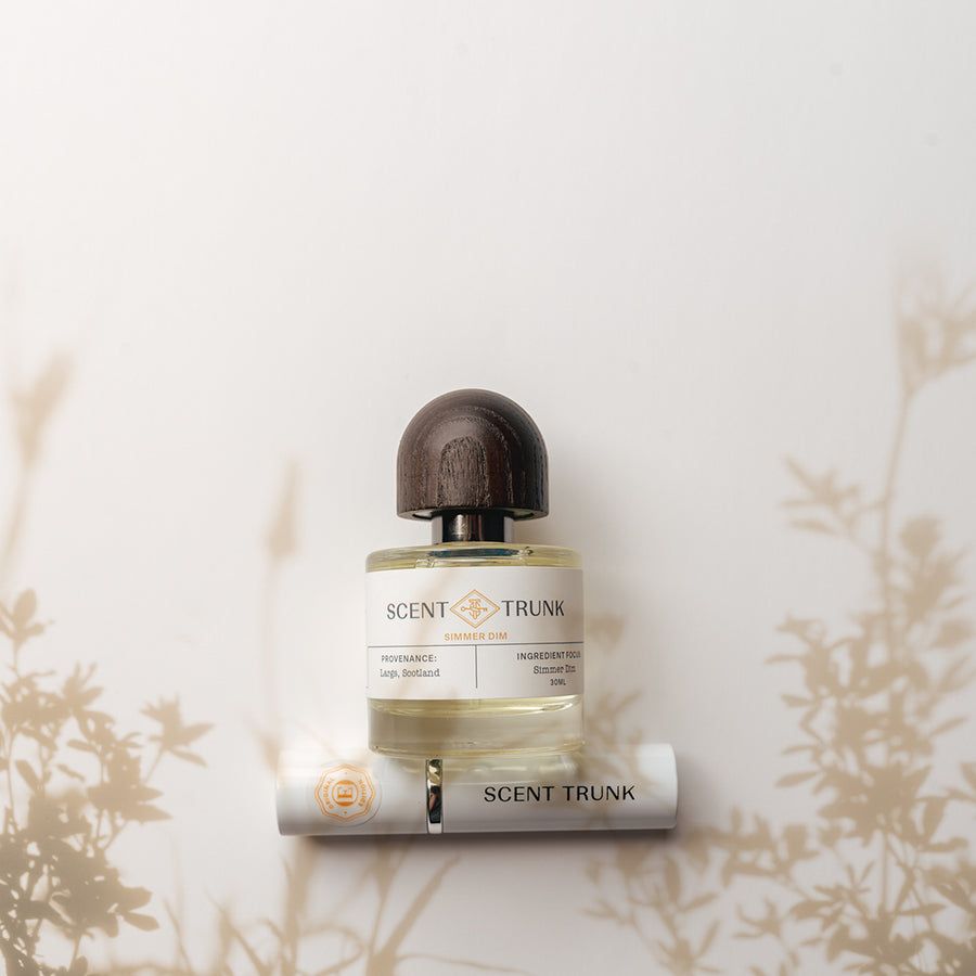 عطر ادکلن سیمِر دیم سنت ترانک - Simmer Dim Scent Trunk - بررسی، قیمت و خرید