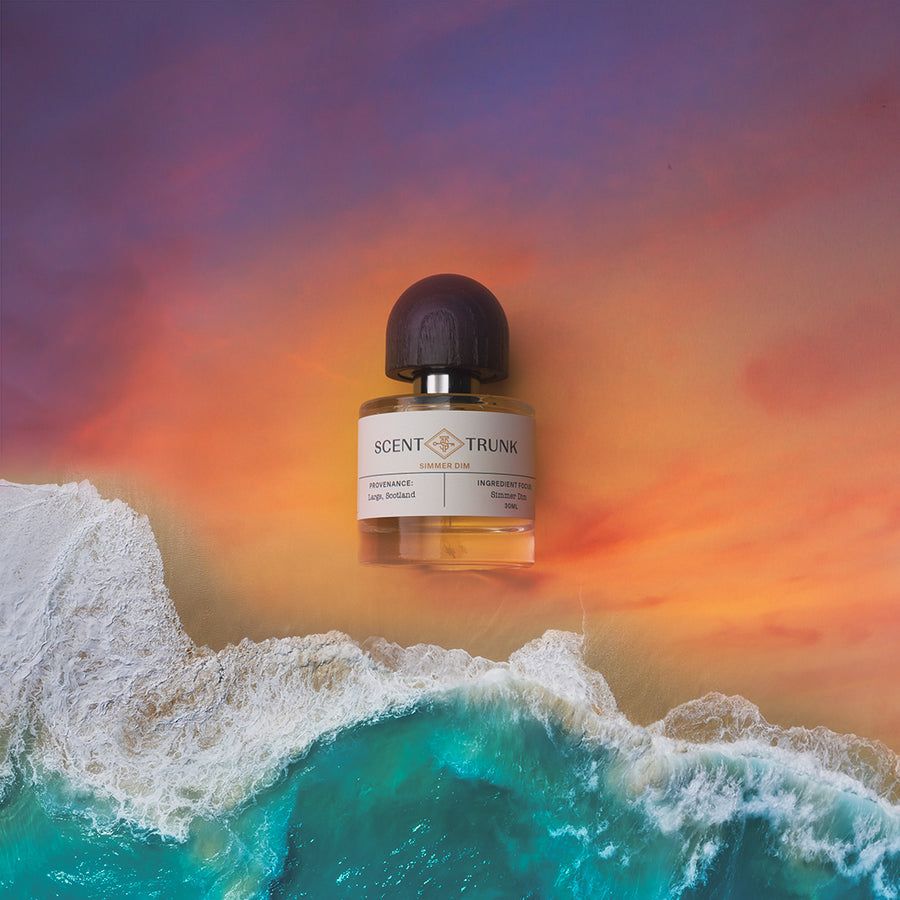 عطر ادکلن سیمِر دیم سنت ترانک - Simmer Dim Scent Trunk - بررسی، قیمت و خرید