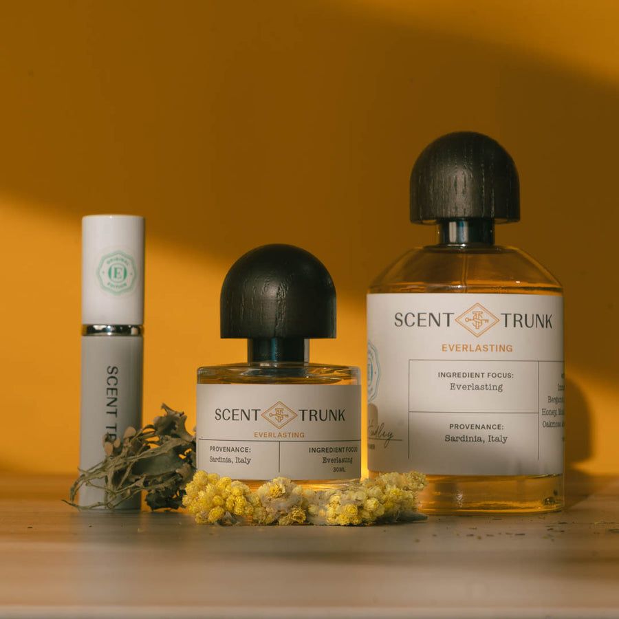 عطر ادکلن اِوِرلاستینگ سنت ترانک - Everlasting Scent Trunk - بررسی، قیمت و خرید