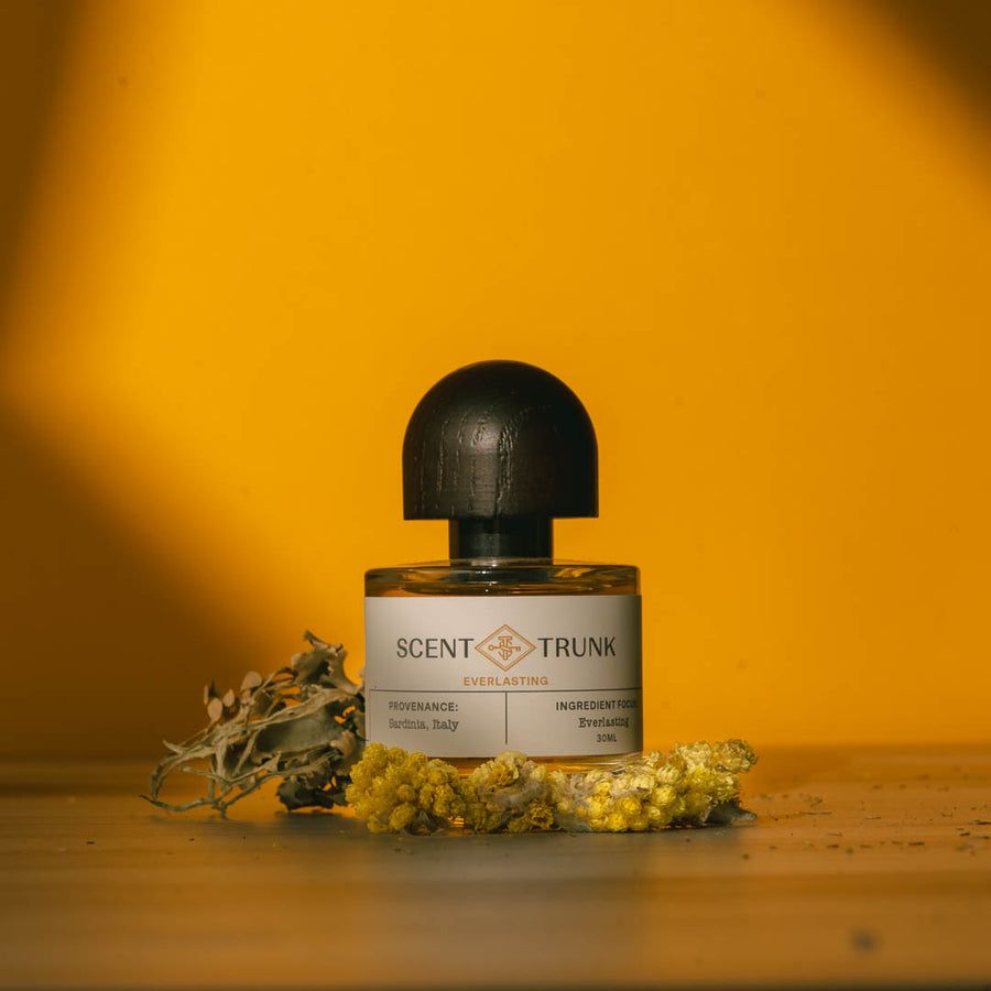 عطر ادکلن اِوِرلاستینگ سنت ترانک - Everlasting Scent Trunk - بررسی، قیمت و خرید